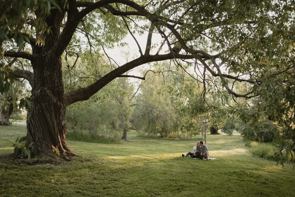 Dows Arboretum Ottawa Nature Engagement Shoot Photography